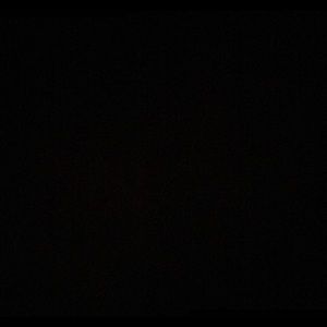 Meet your Posher, Nina